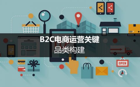 B2C电商运营关键：品类构建