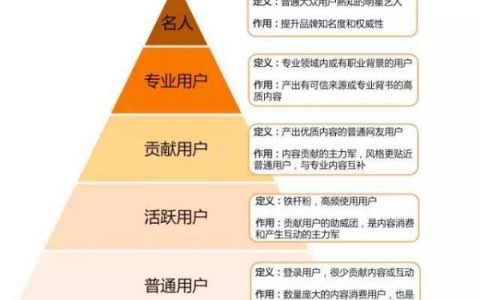 详细讲述猫眼电影UGC的做法，包括分析思路、运营策略和具体措施