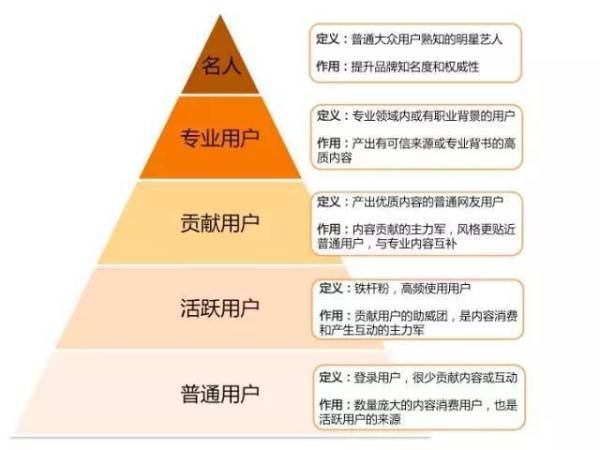 详细讲述猫眼电影UGC的做法，包括分析思路、运营策略和具体措施