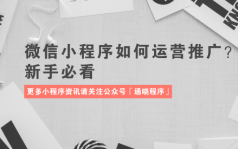 微信小程序如何运营推广？新手必看​