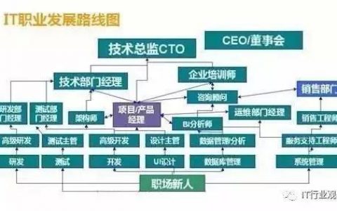 小白如何从职场新人到行业翘楚？一文看懂职业发展路线