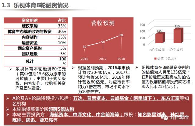 乐视如何靠两份PPT融资近150亿