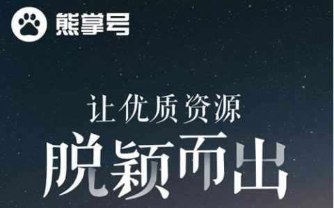 新站结合熊掌号的实际操作 实现当天收录