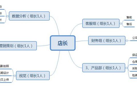 成熟的电商运营团队组织架构由哪些构成(一)