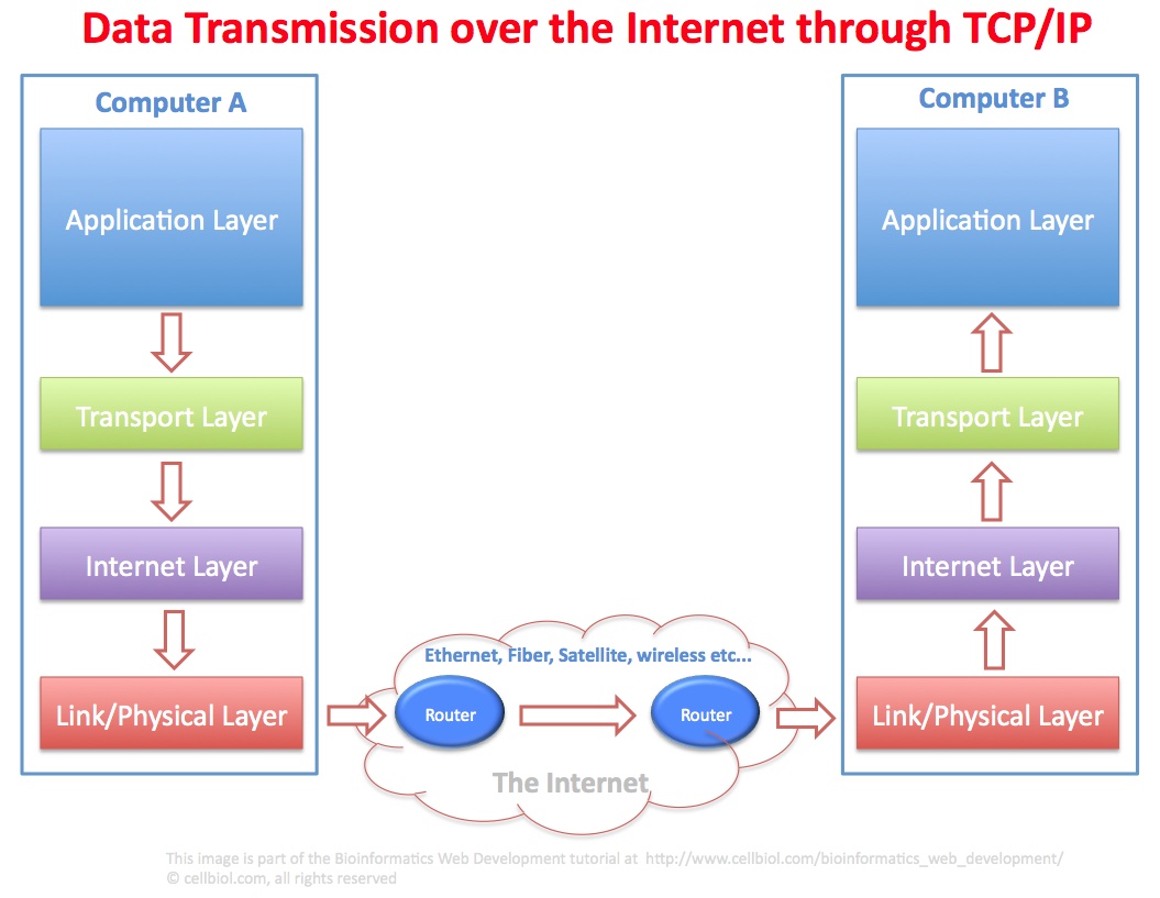一分钟了解 TCP/IP 模型