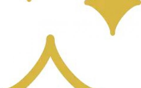 策划进阶指南