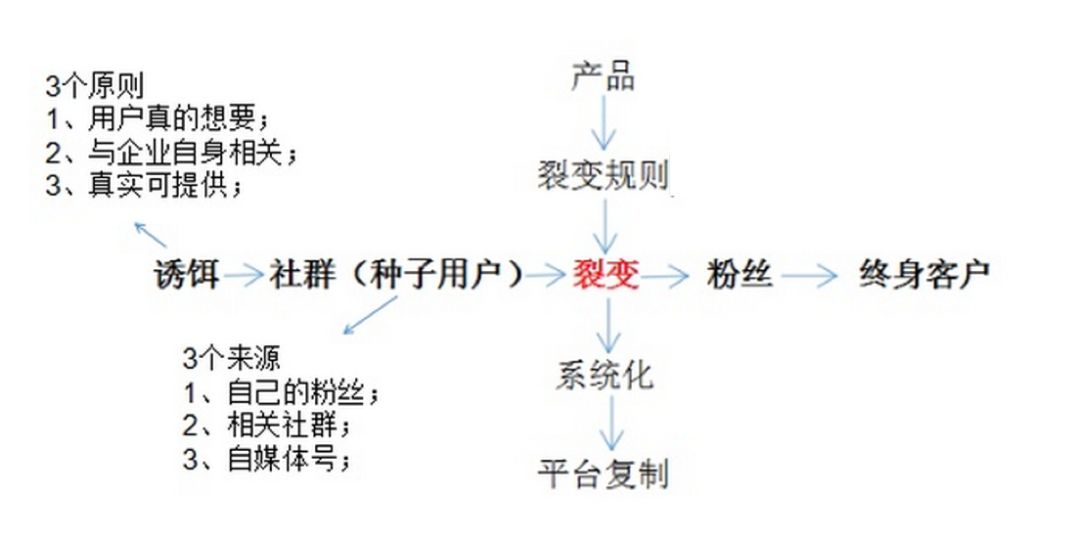 我是如何做到公众号日增粉丝14万（案例分享）