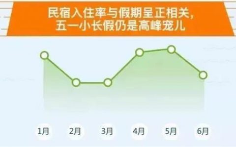 2017年度民宿行业调查