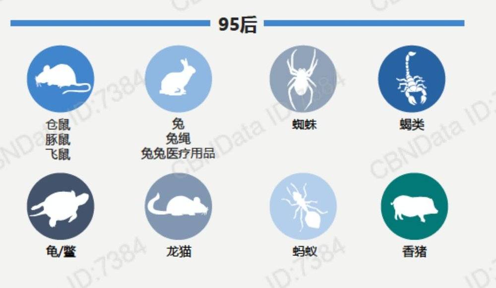 95后的时间和金钱都去哪儿了？