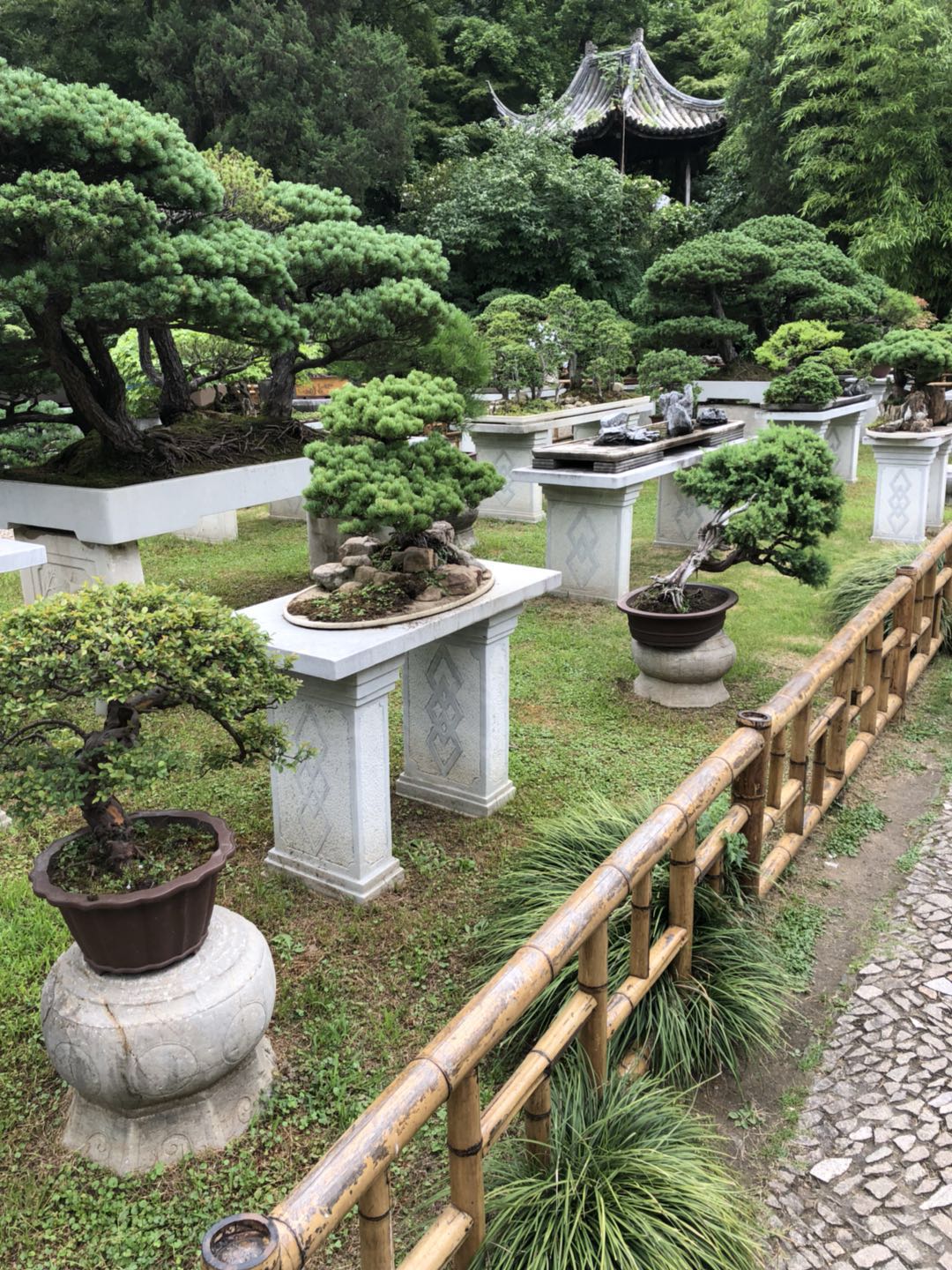 揭秘旅行社营销套路，有想旅游或者出去玩的朋友请一定要看