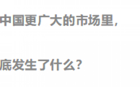 电商新红利探秘：拼多多用户研究报告