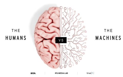 MAGNA：人类 vs. 机器