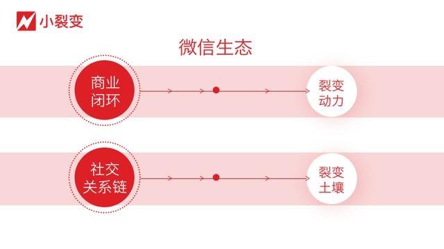 2019年，微信到底、裂变到底、增长到底！