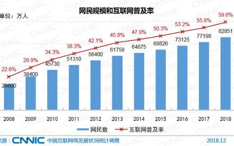 CNNIC报告：中国网民达8.29亿 5G产业化取得初步成果