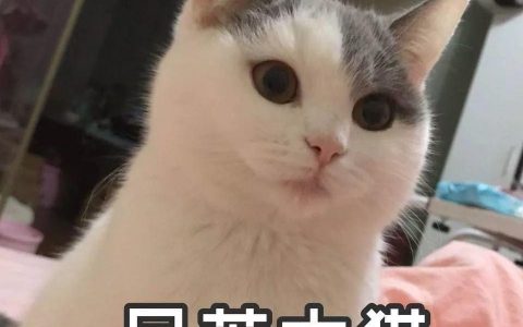 Oh My God！抖音卖货秘籍让你一天销售10万件商品