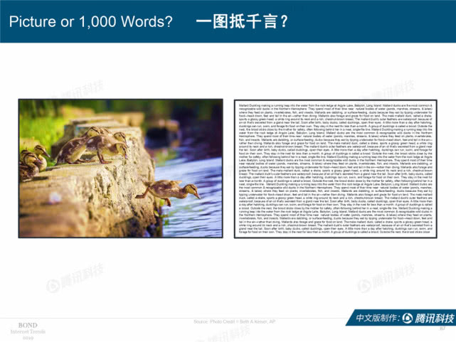Mary Meeker：2019年互联网女皇趋势中文版报告（附下载）