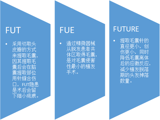 中国“秃”如其来的头发经济