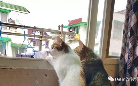 小尾巴，谈谈我对注册转化的理解