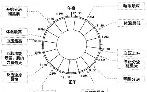 《当代人高效睡眠完全指南》