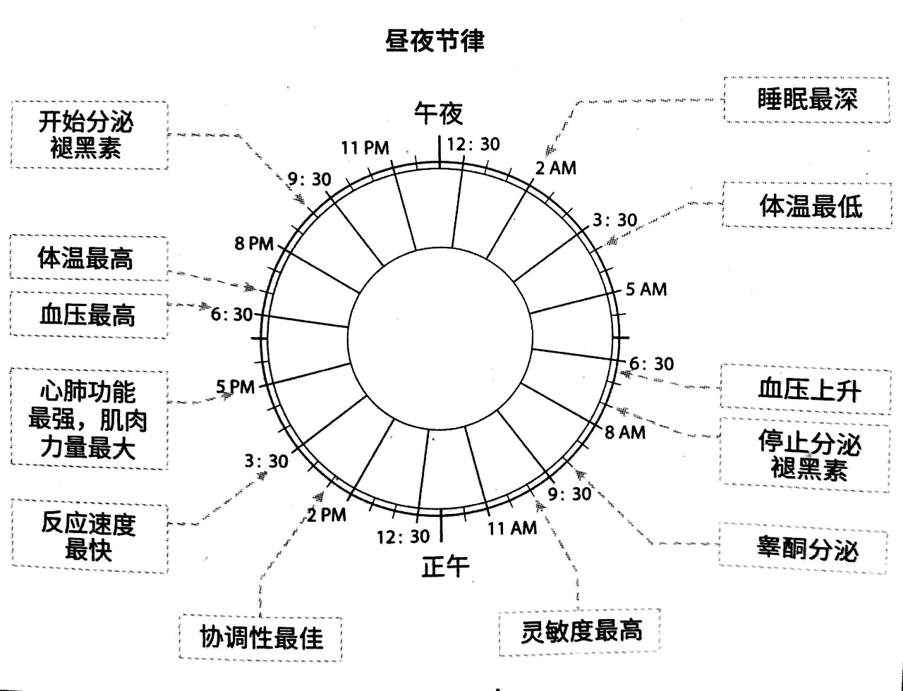 《当代人高效睡眠完全指南》