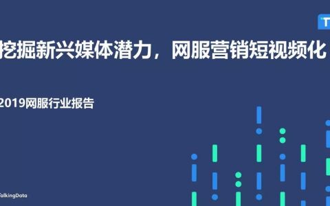 TalkingData：2019网服行业报告