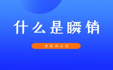 什么是瞬销