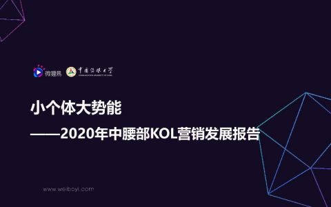 微播易&中国传媒大学：2020年中腰部KOL营销发展报告