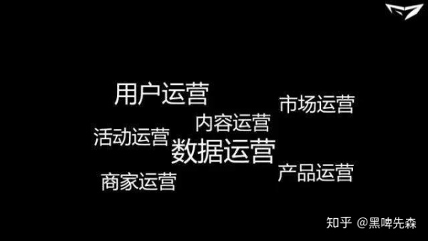 别再问我运营是什么？请先看一遍《运营之光》