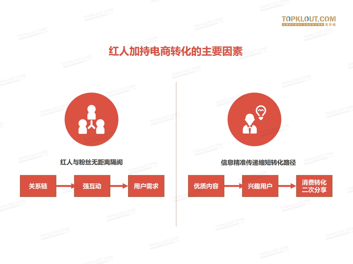 红人电商：新红利池