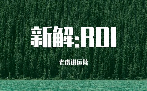 新解roi：投入产出比