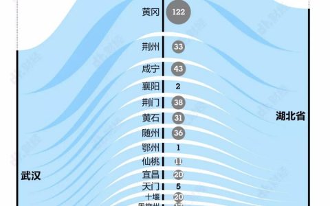 离开武汉的那500万人到底去了哪里？| DT图说