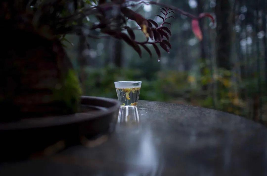 “执行力”。
