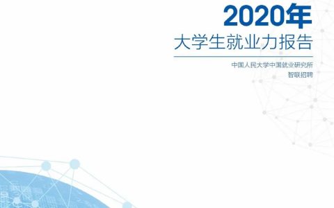 2020年大学生就业力报告