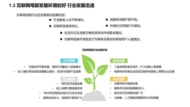 2020年中国互联网母婴行业深度调研报告