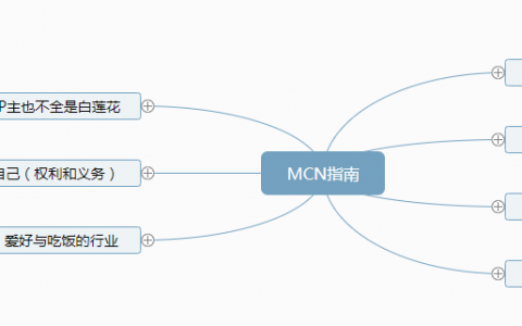 脑图：MCN指南