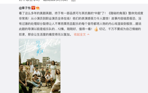 都知道《隐秘的角落》火了，它到底怎么火的？| DT数说