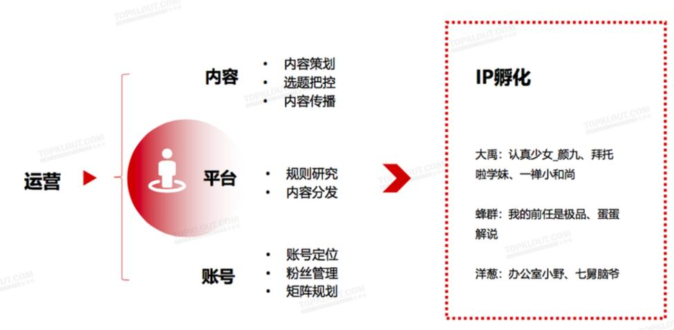 4个常见的增长方案，带你了解数据产品经理如何做增长