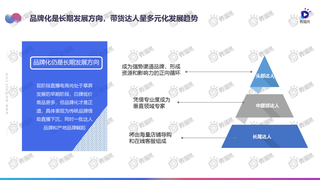 2020直播电商发展趋势报告