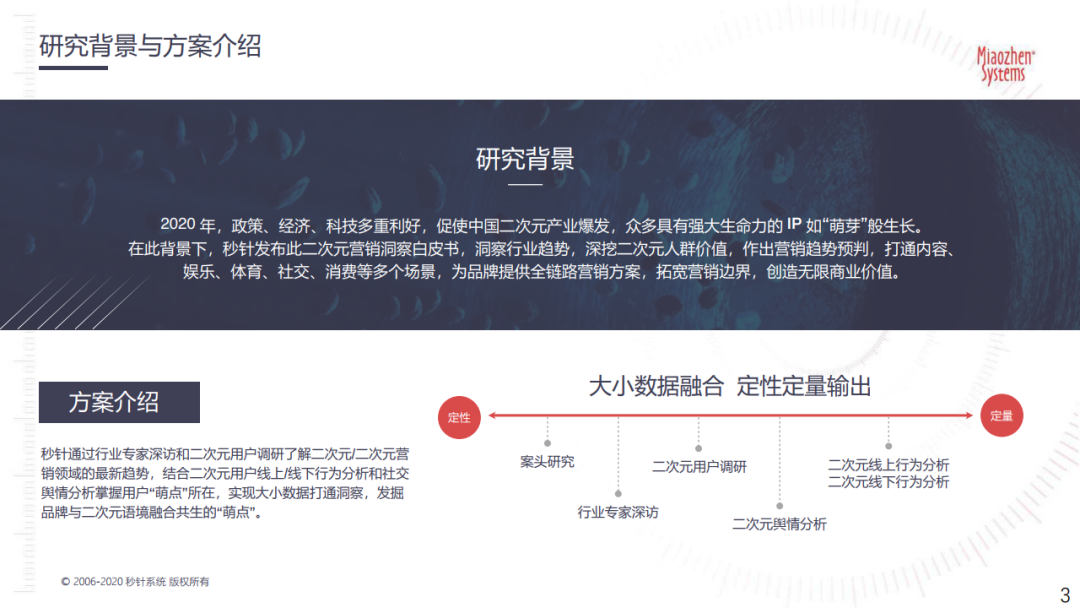 秒针系统：2020二次元营销洞察白皮书