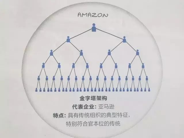 国内外著名公司的组织架构图