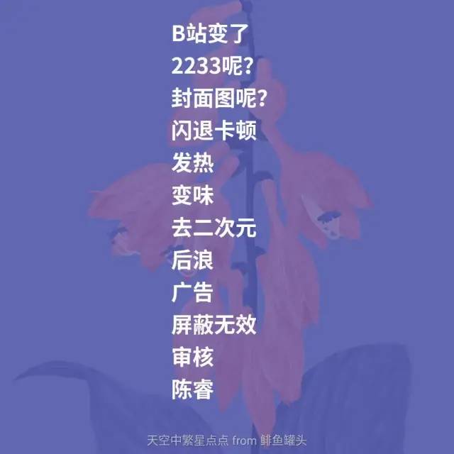 竞品分析：哔哩哔哩 vs 西瓜视频