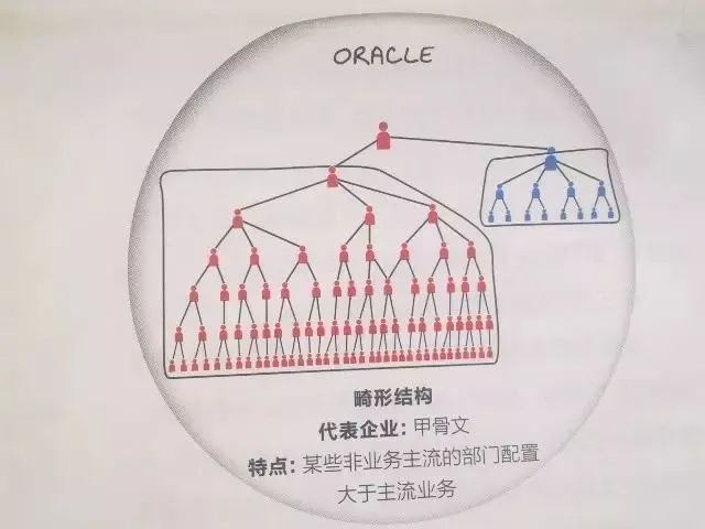 国内外著名公司的组织架构图