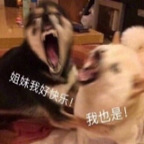 4个小众Chrome插件，最后一个爽到爆！