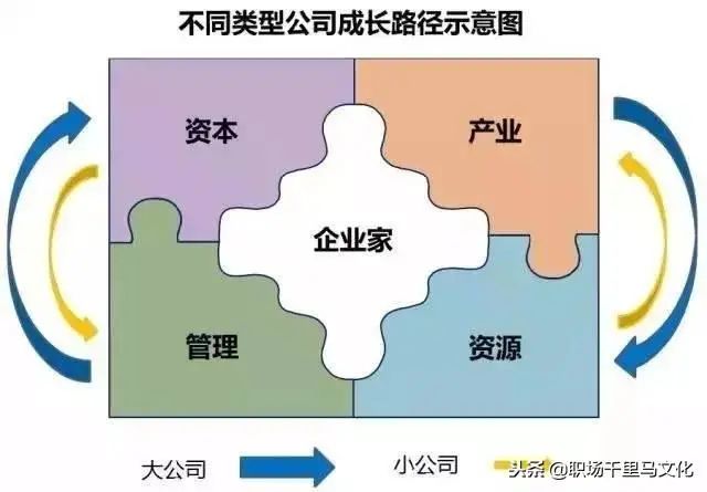 咨询公司常用的9种分析模型