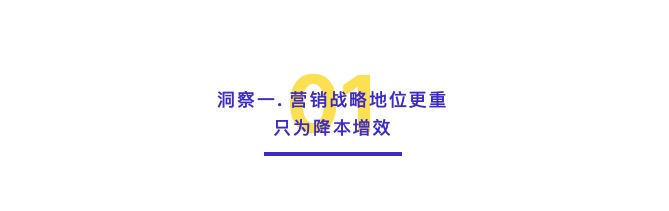 内卷的教育行业，外扩的营销态势