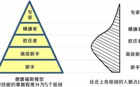 德雷福斯模型--学习理论