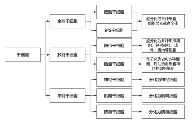 系统思维：介绍一套让你重新理解互联网产品的思维模型