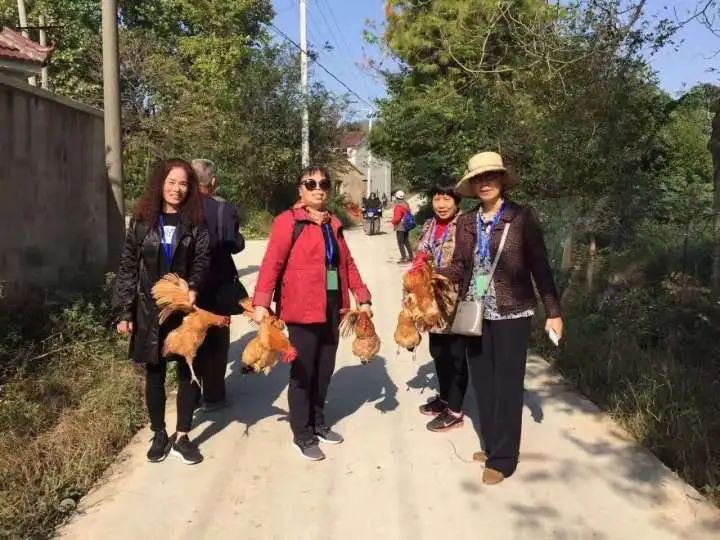 战斗在风口:社区团购从0到1实战运营笔记