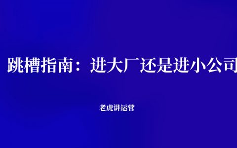 跳槽指南：进大厂还是进小公司