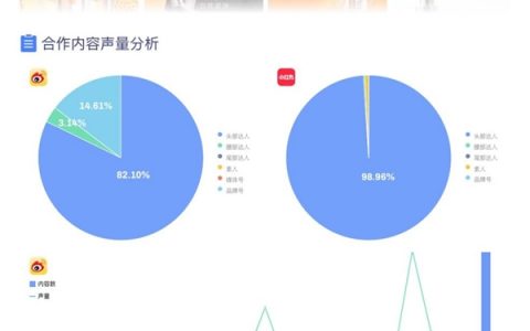 【闪闪火数据】小红书品牌案例-雅顿橘灿精华